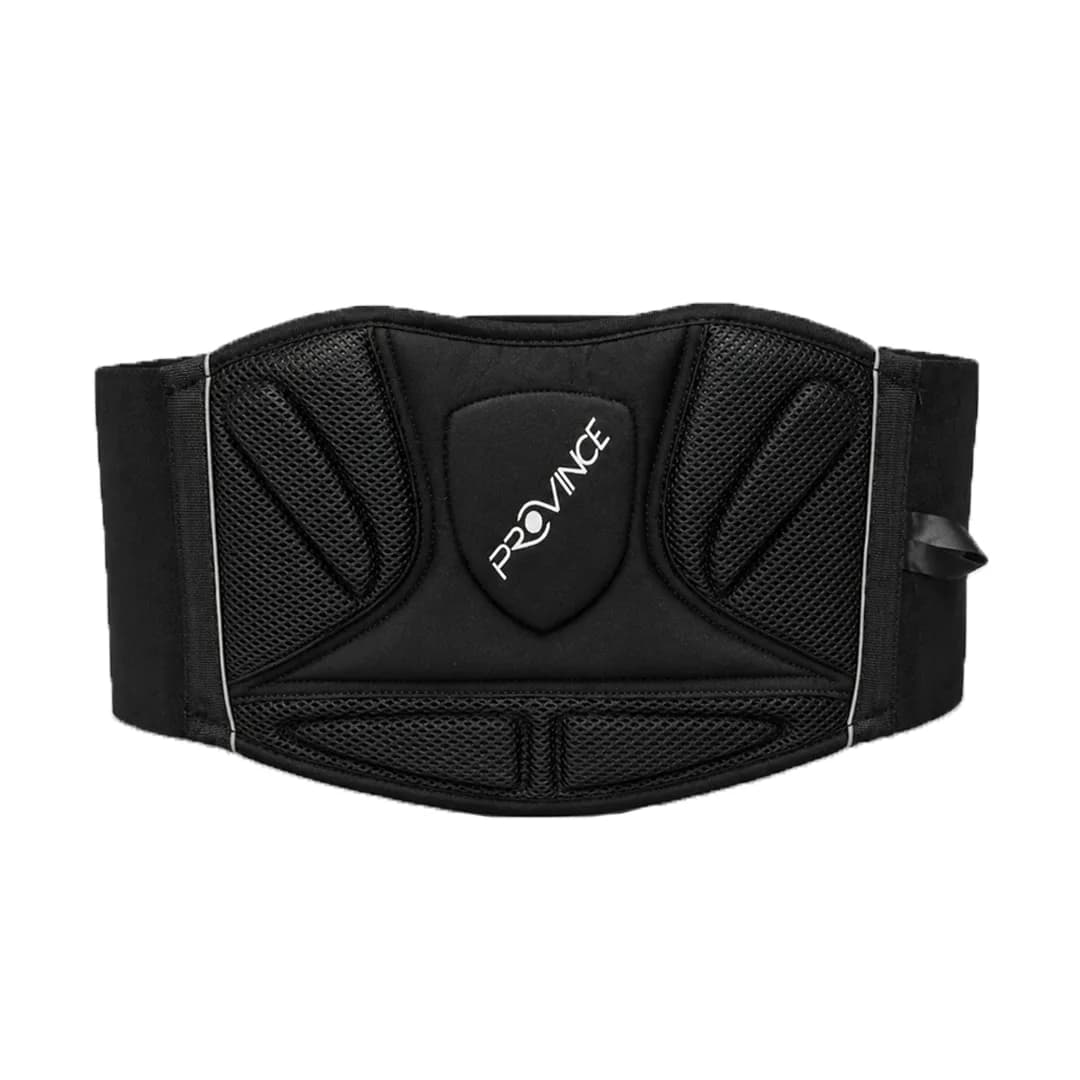Shield Spine Padded Kidney Belt