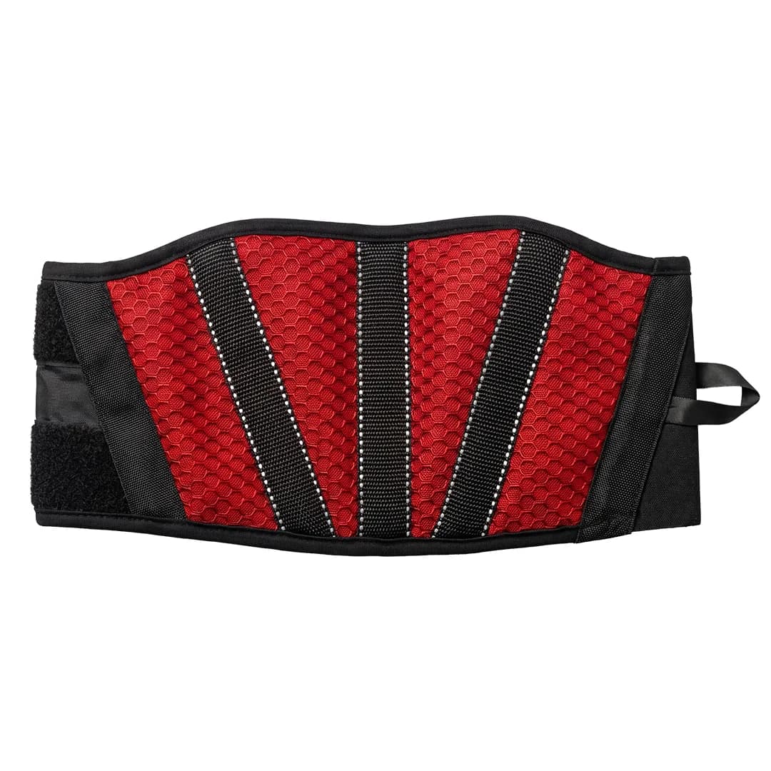 Red Honeycomb Mesh Kidney Belt