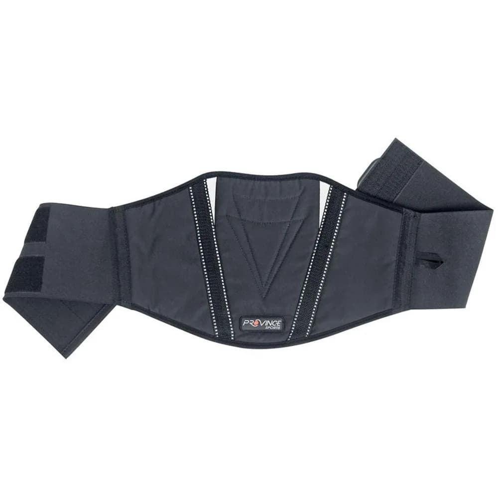 Structured Panel Reflective Kidney Belt